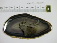 Red Deer Stag Painting on Agate