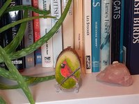 Northern Cardinal Bird Painting on Wood