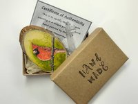 Northern Cardinal Bird Painting on Wood