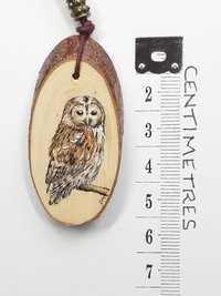Tawny Owl Hand Painted Yew Wood Pendant