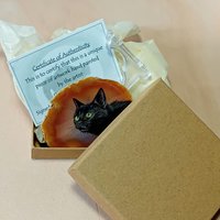 Black Cat Painting on Agate