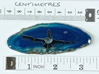 Long-eared Bat Painting on Agate