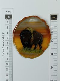 Buffalo Agate Painting