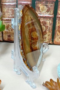 Red Squirrel Hand Painted onto Agate