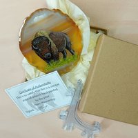 Buffalo Agate Painting