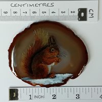Red Squirrel Hand Painted onto Agate