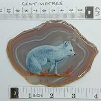 Arctic Fox Painting on Agate