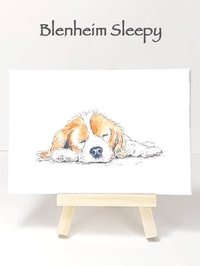 Cavalier King Charles Spaniel Mini Canvas Art Print
