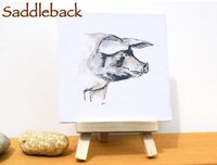 Pig miniature art print, Gloucester old spot, Tamworth, saddleback, rare breed pig prints