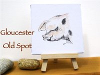 Pig miniature art print, Gloucester old spot, Tamworth, saddleback, rare breed pig prints