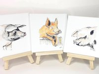 Pig miniature art print, Gloucester old spot, Tamworth, saddleback, rare breed pig prints