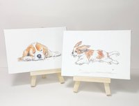 Cavalier King Charles Spaniel Mini Canvas Art Print