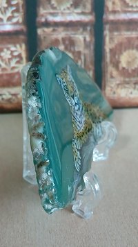 Jaguar Painting on Agate Slice