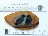 Ravens Hand Painted on to Agate Slice