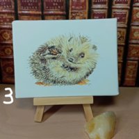 Hedgehog miniature art print