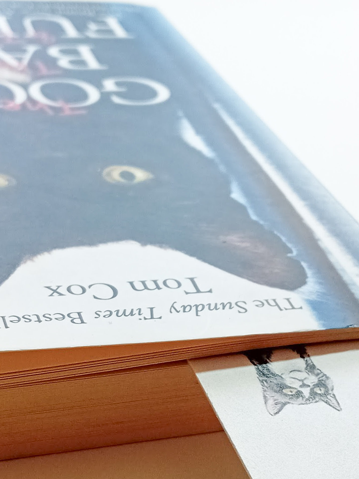 Cats on Books Bookmark, Tabby, Black, Black and White, Ginger and White, Ginger,  White, Tabby and White, Tuxedo