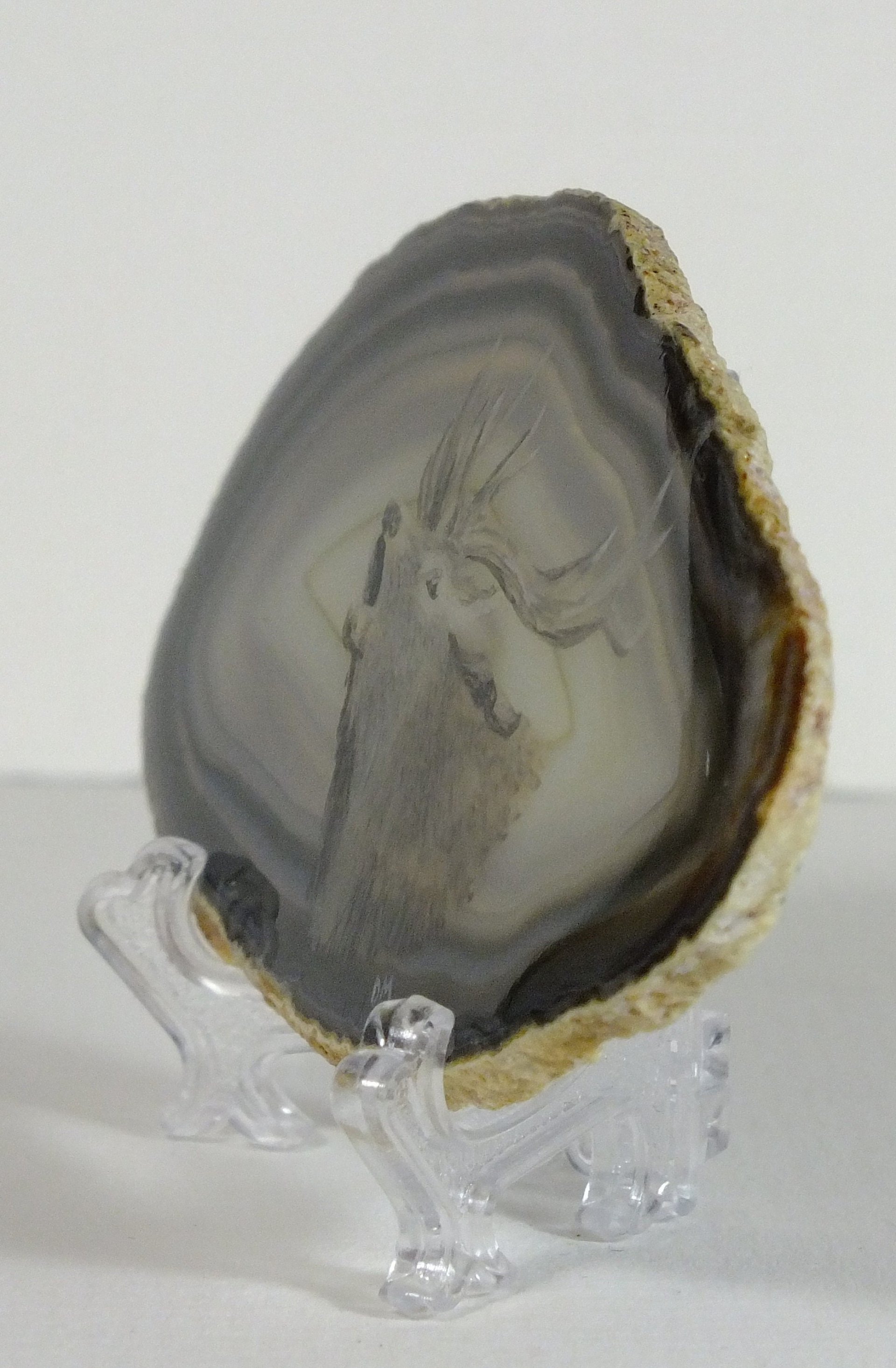 Red Deer Stag Painting on Agate