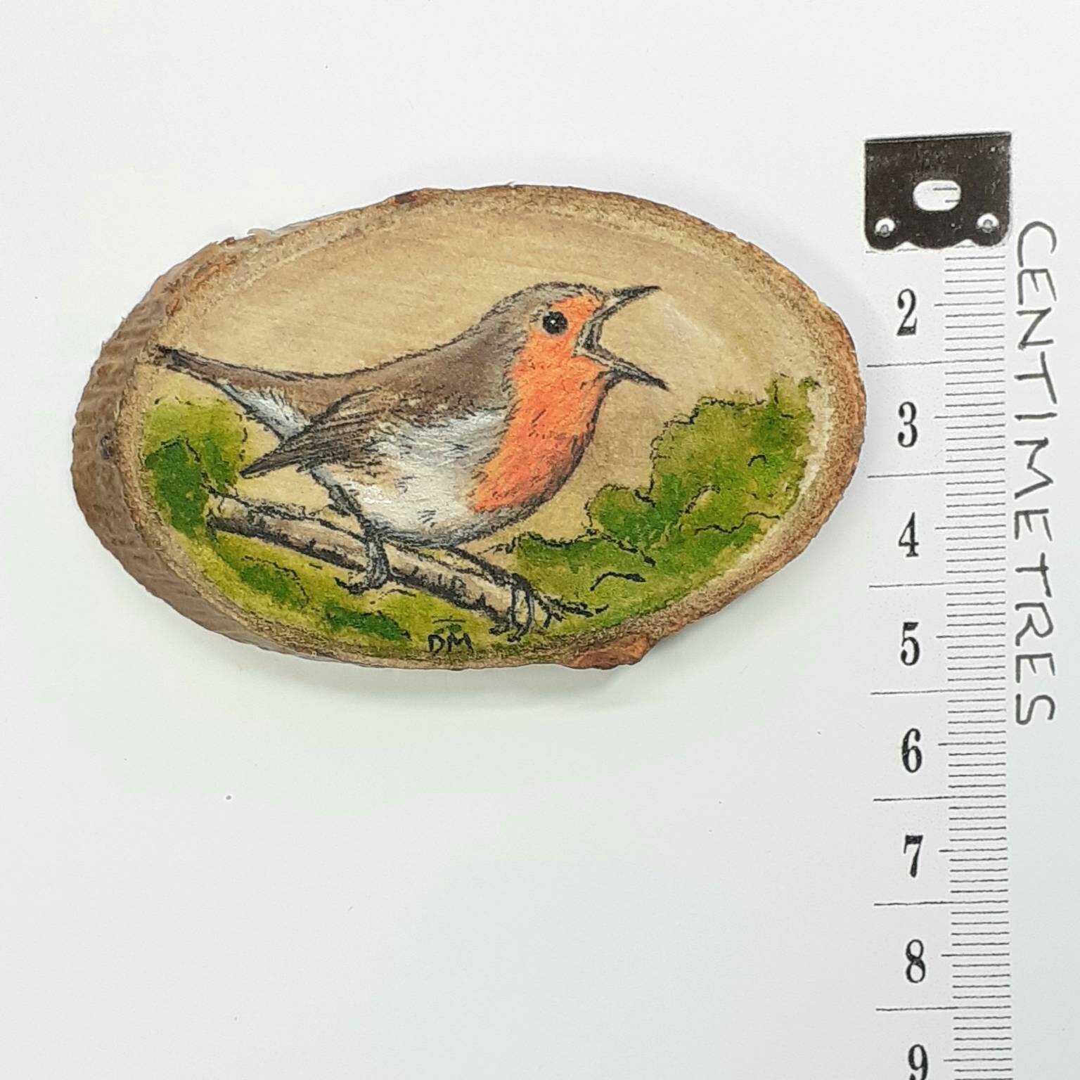 Robin Painting on Wood