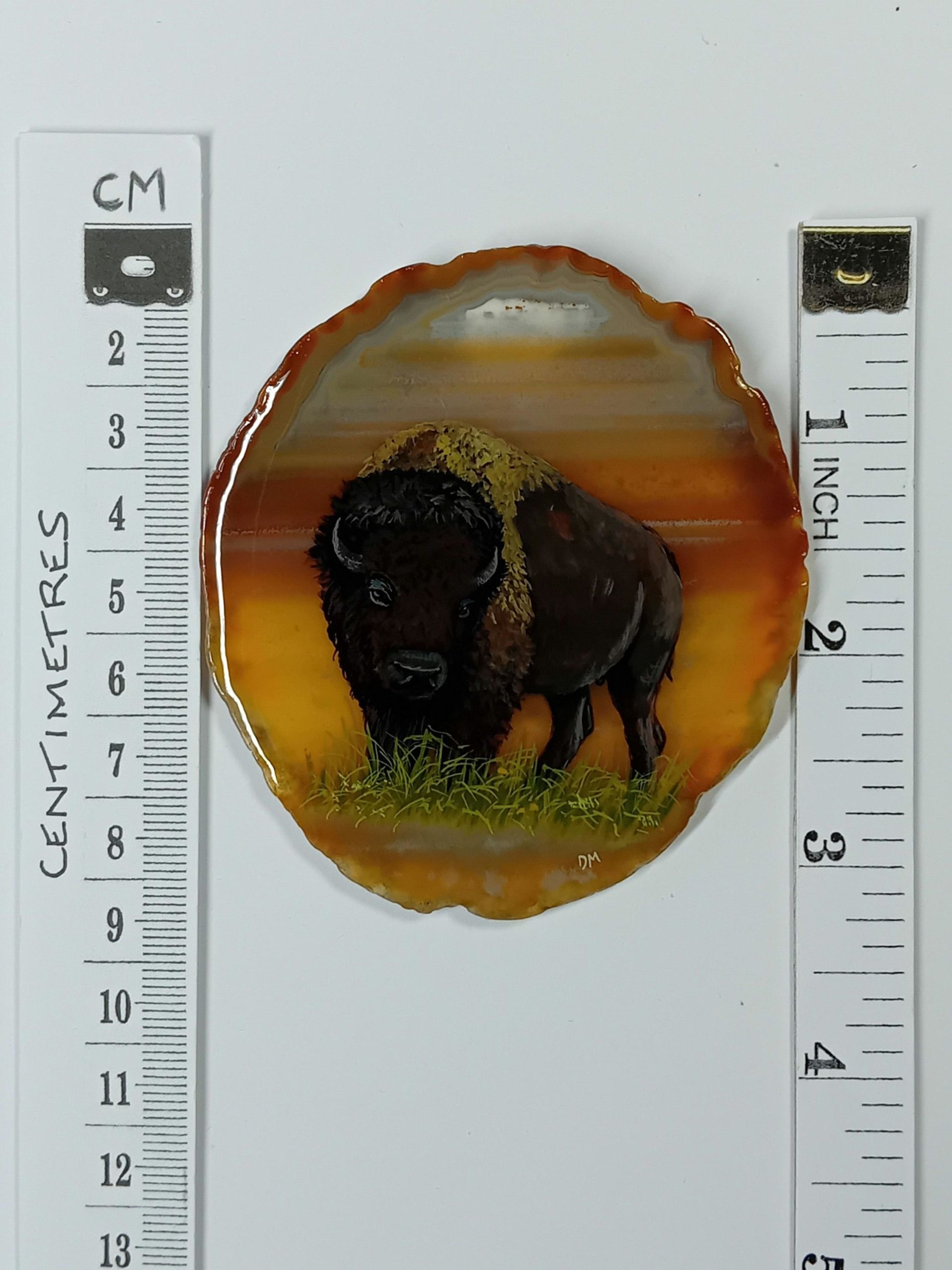 Buffalo Agate Painting