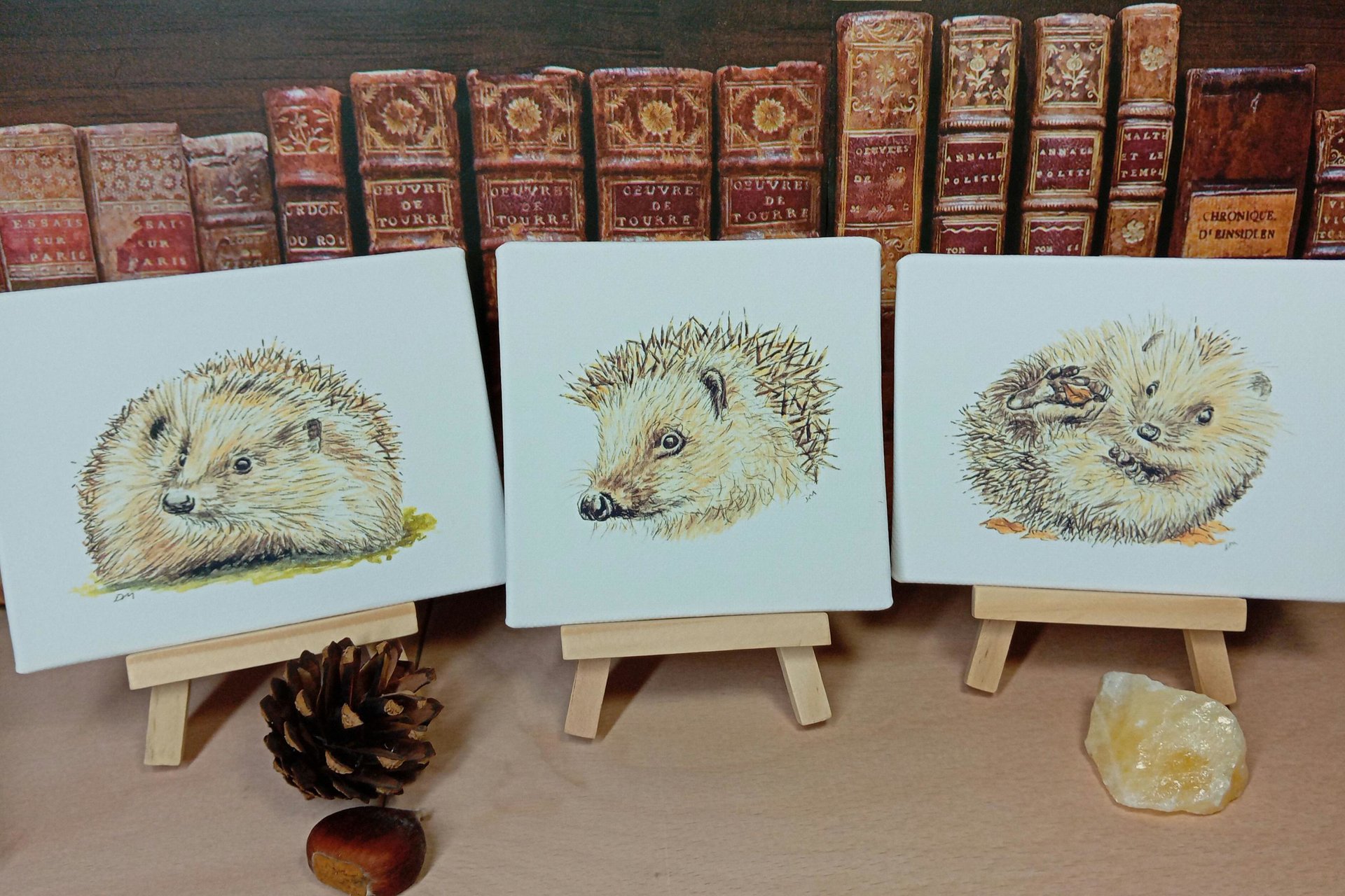 Hedgehog miniature art print