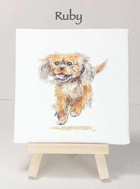 Cavalier King Charles Spaniel Mini Canvas Art Print
