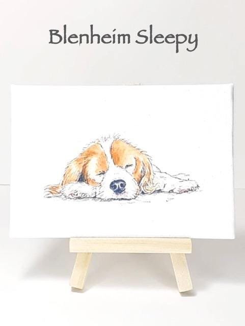 Cavalier King Charles Spaniel Mini Canvas Art Print