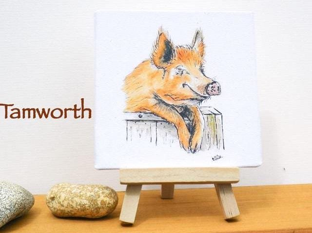 Pig miniature art print, Gloucester old spot, Tamworth, saddleback, rare breed pig prints