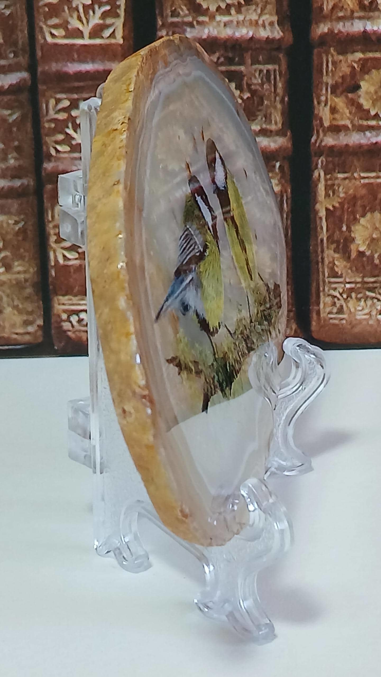 Great Tit Birds Painting on Agate Slice