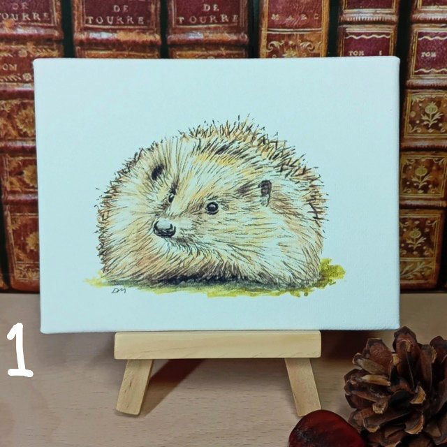 Hedgehog miniature art print