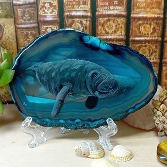 Manatee Hand painted onto Agate Slice
